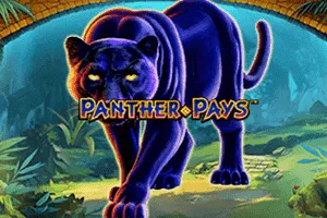 Playtech : Panther Pays - HUNIAN138