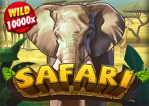 AFB : Safari - HUNIAN138
